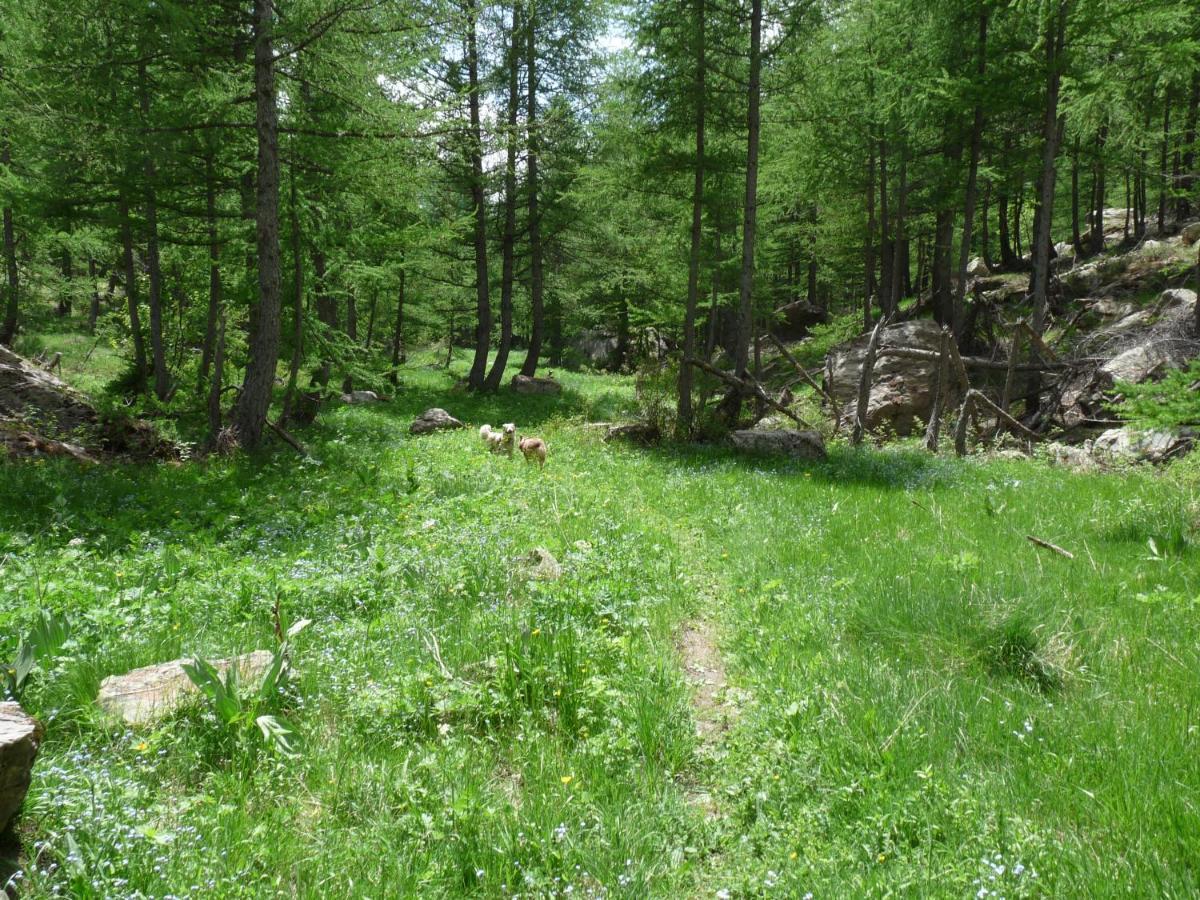Les Marmottes D Estenc Exterior photo